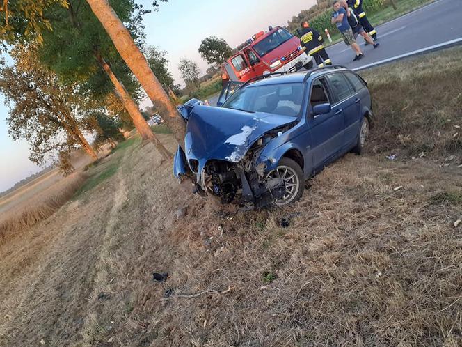 Kierowca BMW wypadł z drogi na zakręcie. Samochód uderzył w drzewo [ZDJECIA]