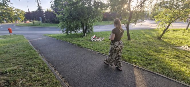 Uniwersytet w żałobie. Wzruszające pożegnanie zamordowanej Klaudii. "To niewyobrażalna tragedia"