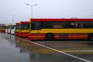 Mama za kółkiem autobusu podbija internet. Możesz oglądać w sieci transmisje na żywo z jej kursów po Wrocławiu! [WIDEO, AUDIO]