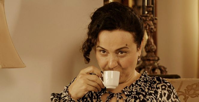 Miłość i nadzieja odc. 272. Cavidan