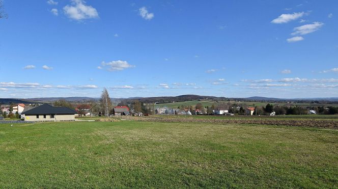 Jasionów - w tej wsi na Podkarpaciu znajduje się zabytkowy dwutraktowy dwór. Mieszkał tu znany urzędnik austriacki