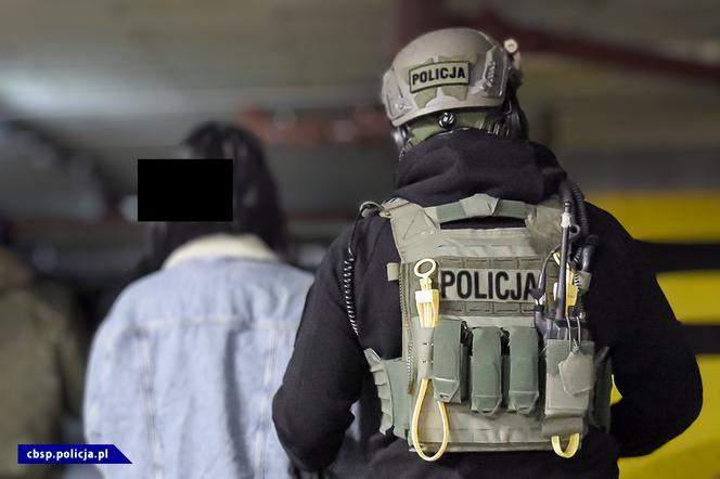 Potężne uderzenie w gang samochodowy. 10 osób w rękach policji