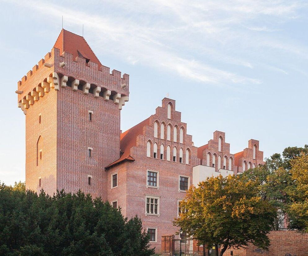 Zastał Poznań drewniany a zostawił murowany. Za tego króla miasto rosło w siłę