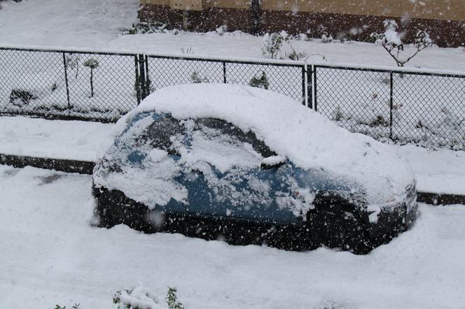 Zima w maju 2011 - zdjęcia Czytelników (Kłodzko, Bardo, okolice Ząbkowic Śląskich)