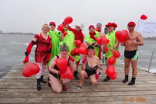 Z miłości do morsowania. Chełmskie morsy wskoczyły do lodowatej wody [GALERIA]