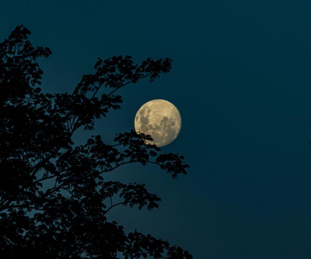 Druga pełnia księżyca sierpień 2023. Nie możecie jej przegapić!