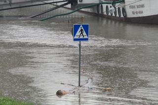 Powódź w Krakowie 24.05.2019: Fala kulminacyjna na Wiśle: zalane bulwary, okropny widok