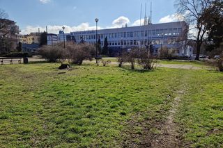 Najstarszy park miejski w Bydgoszczy zostanie odnowiony! Zmieni się nie do poznania