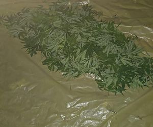 Tarnowscy policjanci zatrzymali 31-latka z dużą ilością narkotyków