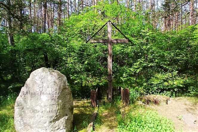 Leśny cmentarz rodu von Ramin