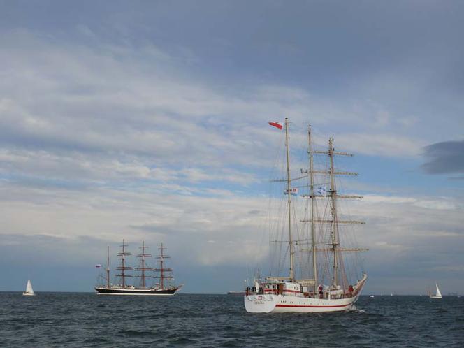 ParadaZagleGdyni2014_FotMZwierz_700956