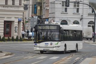 Autobusem i tramwajem za darmo w Toruniu