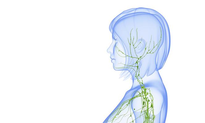 Choroba Hodgkina Czyli Ziarnica Złośliwa Nowotwór Układu