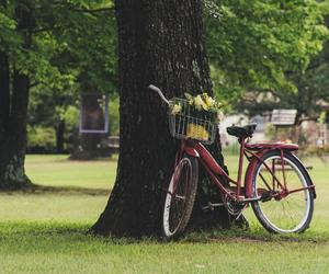 Szykują się nowe inwestycje w Olsztynie i sąsiednich gminach