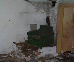 Dom w Kowarach - remont. 16 lat z życia Kasi i Jacka