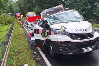 Dolny Śląsk. Drzewo spadło na busa. 56-latek nie żyje, cztery osoby są ranne 