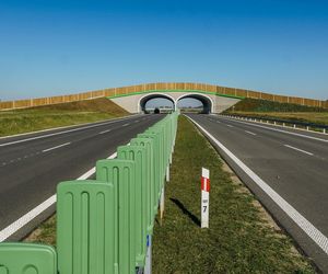 S19 Haćki – Bielsk Podlaski Zachód – Boćki