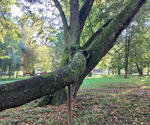 Uzdrowisko Kraków Swoszowice