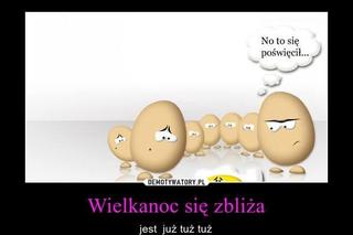 Najlepsze Wielkanocne MEMY 