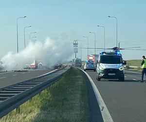 Poważny wypadek na S3 przed Szczecinem. Ciężarówka zderzyła się z autobusem 