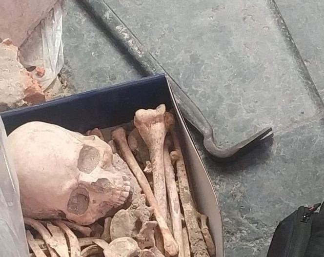 Tajemnicze znalezisko w Katedrze na Wawelu