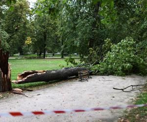 Połamane drzewa, zalane lokale, problemy na lotnisku. Straż walczy ze skutkami burzy w Warszawie