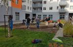 Mieszkańcy sami zazielenili beton na Dąbrowskiego