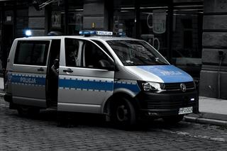 Policyjna obława pod Oleśnicą. Padły strzały, zatrzymano 8 osób