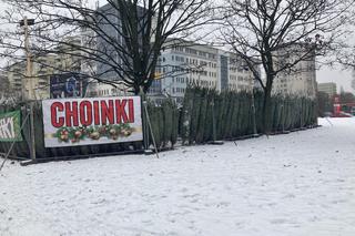 Choinki w Warszawie 2023