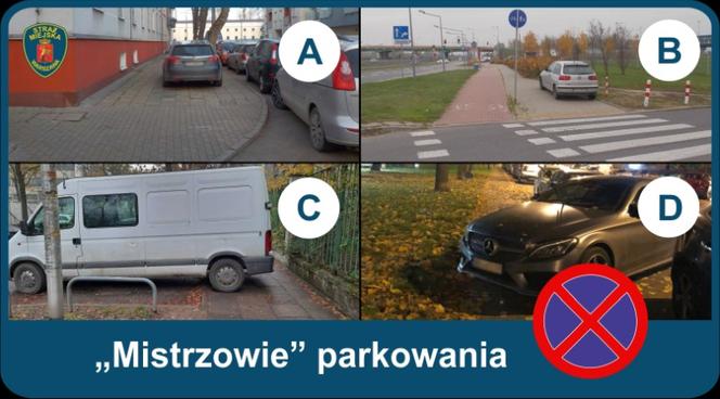Mistrzowie Parkowania - Listopad 2020