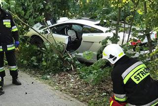 Luksusowe Lamborghini Gallardo rozbite na drzewie