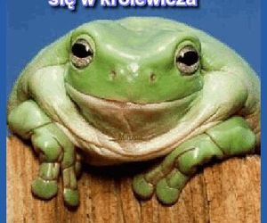 Kartki i grafiki na Prima Aprilis 2025. Pobierz za darmo i świętuj 1 kwietnia z humorem!