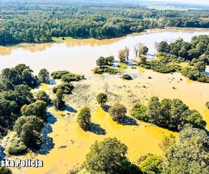 Powódź w Polsce. Odra w Cigacicach przekroczyła stan alarmowy o 2,5 metra! 