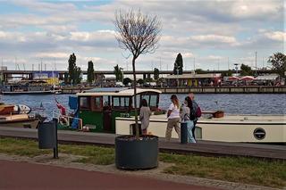 Drzewa w donicach opanowały Szczecin