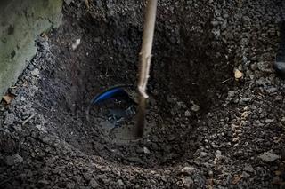 Gdańsk. Policjanci uderzyli w handlarzy narkotyków. Zabezpieczono 5 mln złotych