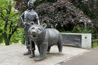 Pomnik Niedźwiedzia Wojtka w Edynburgu