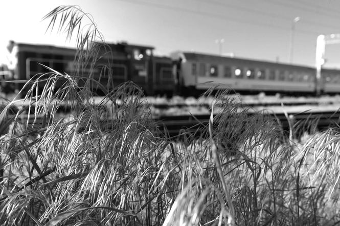 Pewnego razu na dworcu PKP w Bydgoszczy [ZDJĘCIE DNIA]