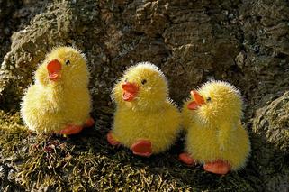 tworzenie kartek świątecznych