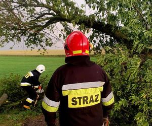 Potężna burza przeszła przez Bydgoszcz i region. Ponad 400 interwencji strażaków!