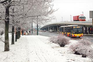 Warszawa. Zima już zaatakowała