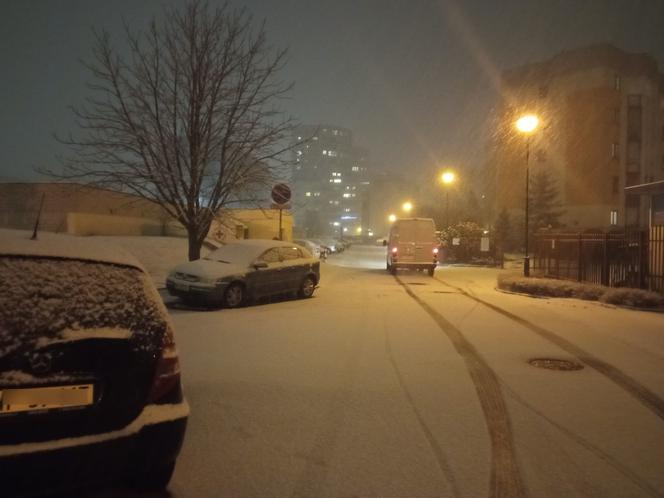 Śnieżyca w Warszawie 28.01.2021