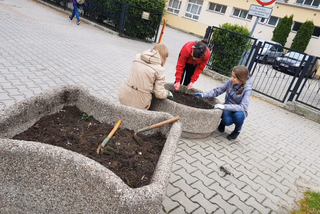 Iławska SP4 doceniona za ogródek i otoczenie szkoły
