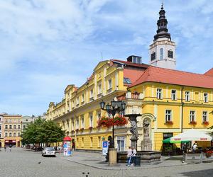 Jak stracić ćwierć miliona? Świdnica kupiła samochód elektryczny, którego nie używa