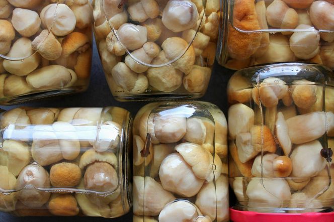 Grzyby marynowane w słodko-kwaśnej zalewie – przepis na idealną, delikatną marynatę octową