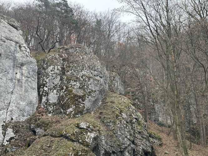 Najpiękniejsza wieś w Małopolsce zachwyca także jesienią. Leży na Szlaku Orlich Gniazd