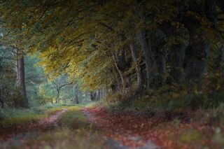 W PRL-u były hitem turystycznym