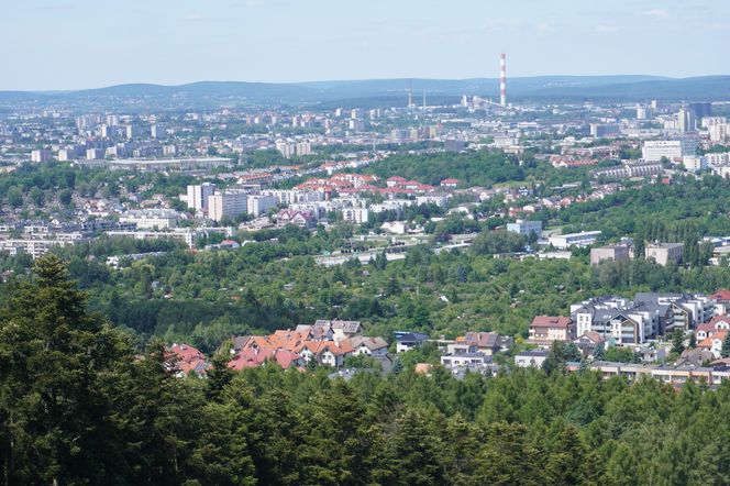 PILNE. Zaginiona mieszkanka Kielc nie żyje?! Znaleziono ciało na Telegrafie