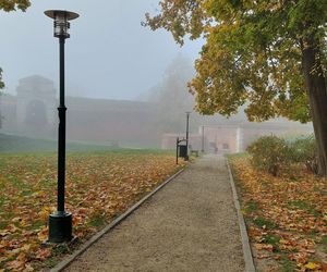 Zamojski Park jesienią