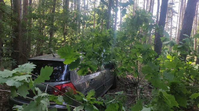 Wypadek pod Toruniem. Zakrwawiony kierowca wjechał autem w las