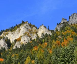 To najstarszy i najpiękniejszy park narodowy w Polsce. Warto odwiedzić go właśnie jesienią